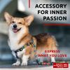 Nylon Dog Leash for Small Medium Dogs 4 Ft Strong Dog Leash for Large Dogs Heavy Duty Dog Leashes for Large Breed Dogs & Puppy Leash for Small Boy & G