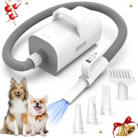 Pet Hair Dryer, 4-in-1 Smart Handle Pet Hair Dryer, 90 Ms High-speed Negative Ion Pet Hair Dryer, Adjustable Wind Speed And Temperature, Suitable (Color: White)