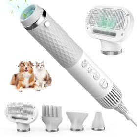 Brushless Motor Handheld Water Blower (Color: White)