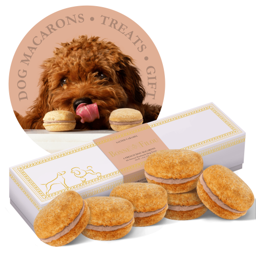 Dog Macarons - Count of 6 (Dog Treats | Dog Gifts)